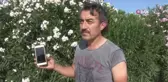17 yaşındaki Zeynep'ten bir haftadır haber alınamadı