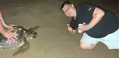 Caretta carettaya eziyet eden turistlere para cezası