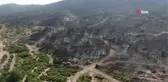 Foça yangınında hasarın boyutları böyle görüntülendi