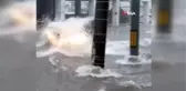 Japonya'da şiddetli yağmur su baskınlarına yol açtı