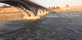 Şırnak'ta su samuru görüntülendi