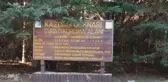 Tarihin yönünü değiştiren ağaç