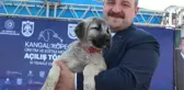 BAKAN VARANK: VİZYONSUZ MUHALEFETİMİZ VAR