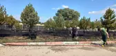 Gediz Organize Sanayi Bölgesinde 2 dekarlık otluk alan yandı