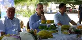 Kültür ve sanat festivalinde muz ve tropik meyve yetiştiricileri yarıştı