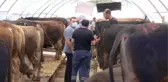 KURBAN PAZARLARINDA HAREKETLİLİK