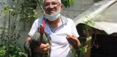 Sabahları öterek sahibini uyandıran horoz, her gün yumurtlamasıyla şaşırtıyor