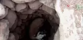 Sıcaktan baygınlık geçiren koyuna, çobandan demlikle can suyu