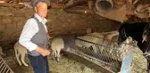 Efeler diyarının son Yörüğü atından ve koyunlarından vazgeçemiyor