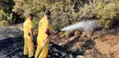 Tarlada başlayan ve ormanlık alana sıçrayan yangın kontrol altına alındı