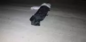 Otomobille motosiklet çarpıştı: 1 ölü