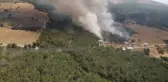 Bornova'da çıkan orman yangını kontrol altına alındı
