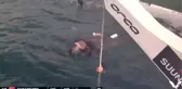 Dünya serbest dalış rekortmeni Şahika Ercümen, Bahamalar'da Türkiye rekoru kırdı
