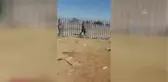 JOHANNESBURG - Güney Afrikalılar, yağmacılardan korunmak için sokaklarda nöbet tutuyor