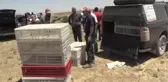 Yaban hayatını geliştirmek için doğaya 600 sülün salındı