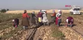 YAZLIK PATATESTEKİ VERİM ÇİFTÇİNİN YÜZÜNÜ GÜLDÜRDÜ