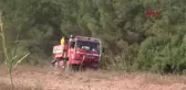 Osmaniye'deki orman yangınında 15 hektar alan zarar gördü
