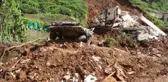 Son Dakika | Rize'de selin izleri siliniyor, kayıp 2 kişi aranıyor