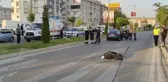 Son dakika: YAYA GEÇİDİNDE OTOMOBİLİN ÇARPTIĞI KİŞİ ÖLDÜ