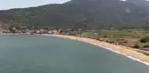 BALIKESİR - Hasadı süren tescilli mor soğanı bu yıl da yoğun ilgi görüyor