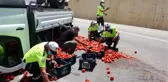 KAZADA YOLA SAÇILAN DOMATESLERİ POLİS TOPLADI