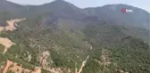 Orman yangını 3. gününde kontrol altına alındı