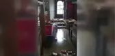Son dakika haberi | Avusturya'da sele kapılan Türk çiftin hayatını Avusturyalı komşusu kurtardı
