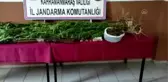 Son dakika: KAHRAMANMARAŞ - Uyuşturucu operasyonlarında yakalanan 7 şüpheliden 1'i tutuklandı
