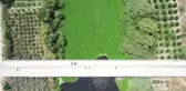 Evsel atıklar Asi Nehri'nde ekosisteme zarar veren su sümbüllerinin çoğalmasına neden oluyor