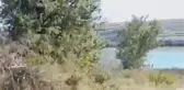 ARNAVUTKÖY'DE KESİLEN KURBANLARIN KANI SAZLIDERE BARAJI'NA AKTI
