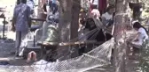 Türkiye'nin ilk Milli Parkı'nda Kurban Bayramı yoğunluğu