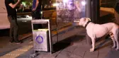 Son dakika haberleri... Gaziantep'te sokak ortasında kanlı infaz: 1 ölü