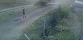 Başkentte kaçan kurbanlığı yakalamaya çalışırken kaybolan genci arama çalışmaları sürüyor
