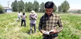 LİSE ÖĞRENCİSİ, YAZDIĞI ROMANINI TARLADA ÇAPA YAPARAK BİRİKTİRDİĞİ PARAYLA BASTIRDI