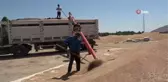 Muş'ta buğday satışlarına başlandı