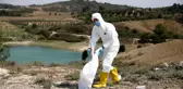 Ölüme terk edilen civcivler toplanmaya başladı
