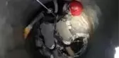 Son dakika haber! ESENYURT'TA İTFAİYE ERİ KURTARDIĞI YAVRU KEDİYİ ELLERİYLE YIKADI