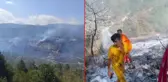 Suriye tarafında çıkan orman yangını Türkiye'ye sıçradı