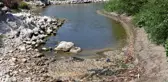 Asi Nehri'nde balık ölümleri görülmesi üzerine çalışma başlatıldı
