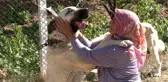 Anadolu ırkı çoban köpekleri heybetleriyle dikkat çekiyor