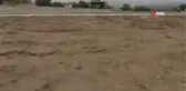 Kemer'de yeni caretta caretta yumurtlama alanı tespit edilip yuvalar koruma altına alındı