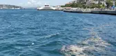 Üsküdar'da kıyıya vuran çöplerin oluşturduğu kirlilik çevredekileri rahatsız etti