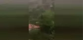 Son dakika haber! Bir evin sel suları nedeniyle yıkılma anı kameralara yansıdı