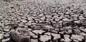 Son dakika haberi | Kuraklık May Barajı'nda balık ölümlerine neden oldu