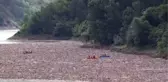 Murgul'daki selde kaybolan kişiyi arama çalışmaları sürüyor