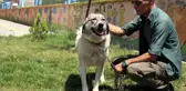 Ölüme terk edilen köpekle engellilerin 'Dost'luğu devam ediyor