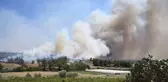 Sarıçam'da çıkan orman yangınına müdahale ediliyor