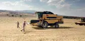 Anasonun başkentini kuraklık vurdu