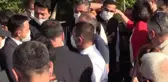 ÇANAKKALE - AK Parti'li Turan, AB coğrafi işaret tescilli Bayramiç beyazı hasadına katıldı
