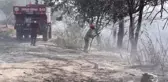 Son dakika... Sarıçam'da çıkan orman yangını kontrol altına alındı